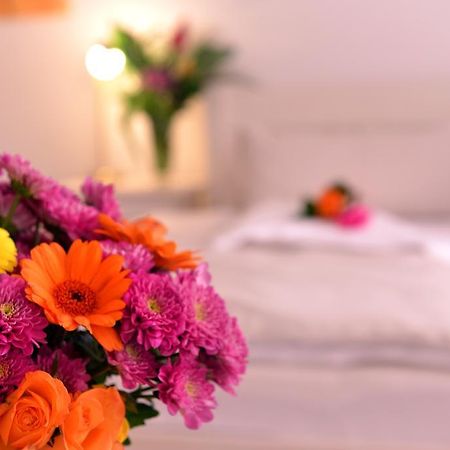 Alpha Hotel Garni Дитценбах Екстериор снимка